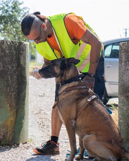 Conduttore e malinois pronti a partire per una traccia di mantrailing